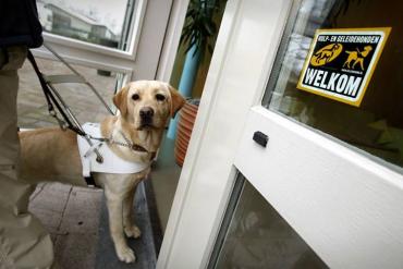 Hond in tuig die in een deuropening staat. Naast de deur het bordje 'hulphonden welkom'. 